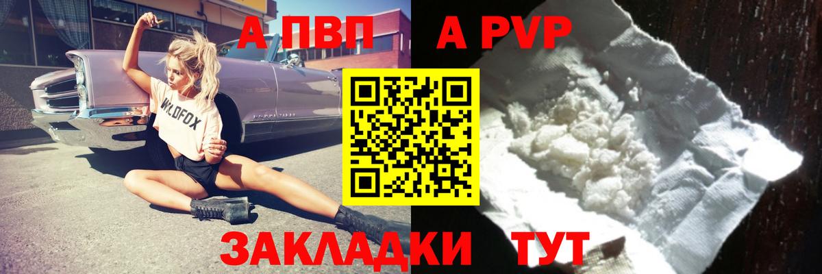 Альфа ПВП СК Магадан