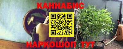 первитин Камышлов