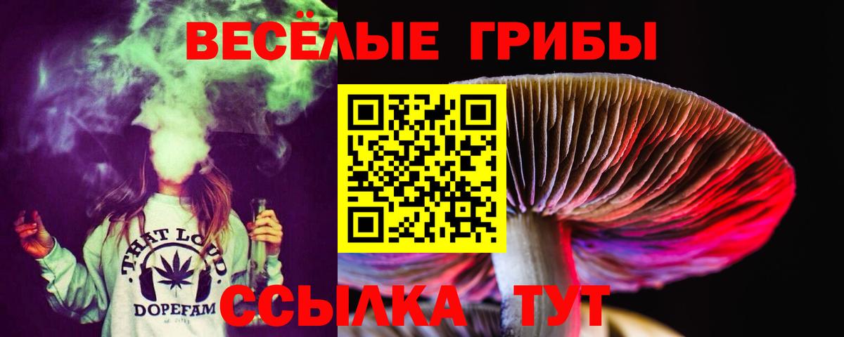 Галлюциногенные грибы мицелий  Магадан  Псилоцибиновые грибы мицелий 